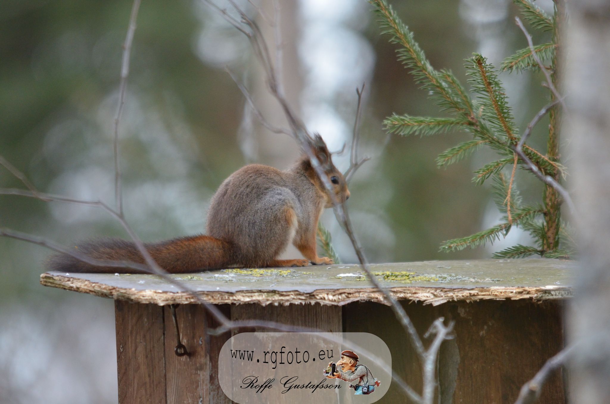 Granskär Våtmark