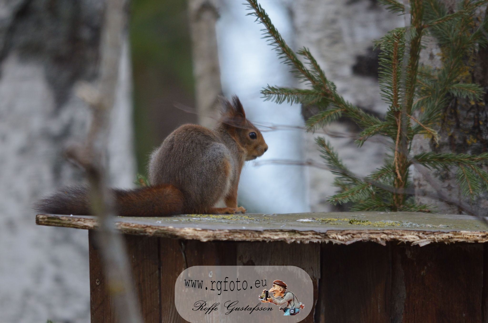 Granskär Våtmark