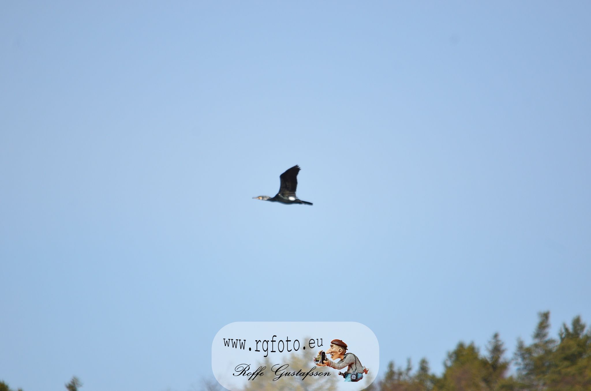 Granskär Våtmark