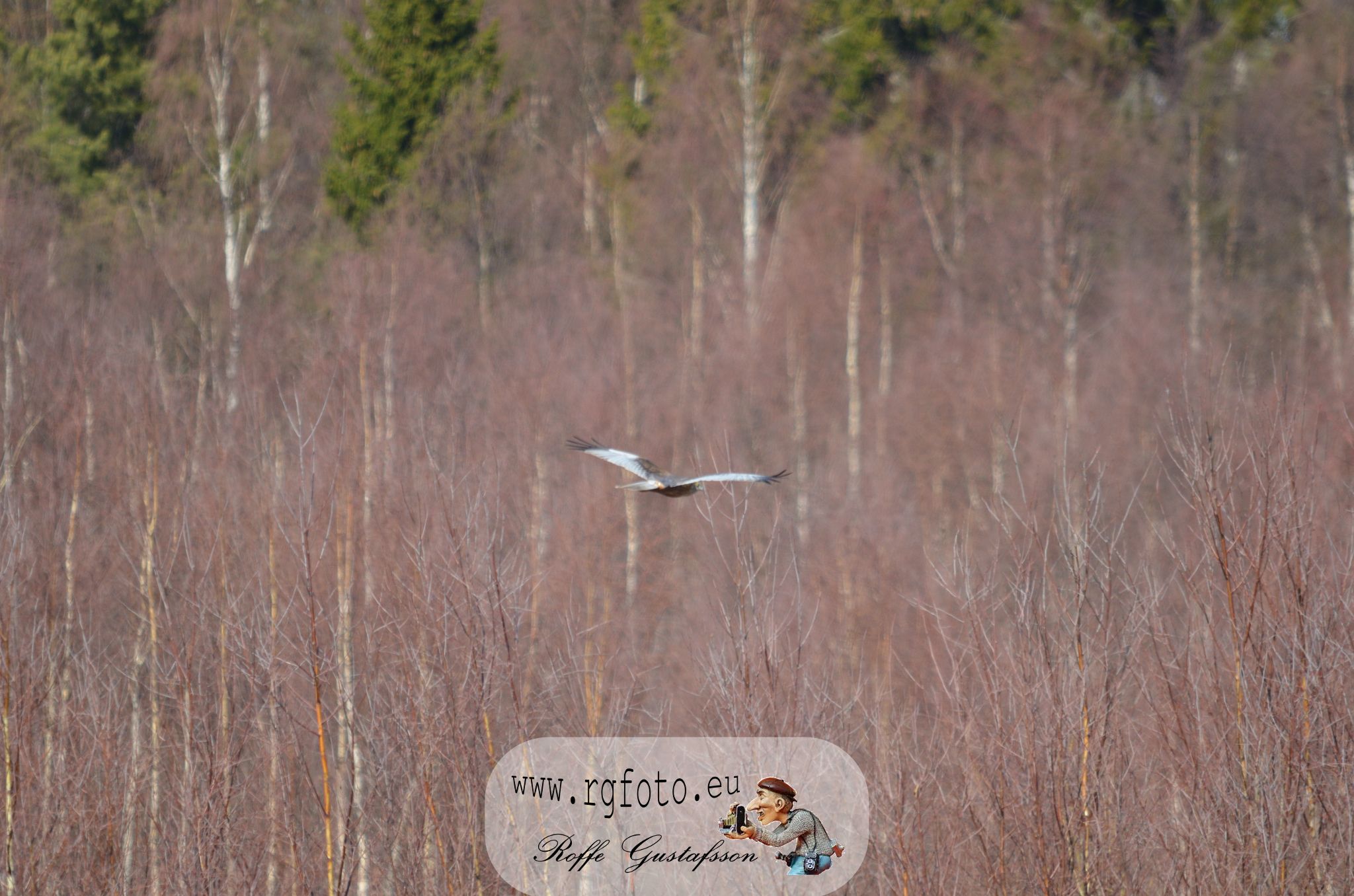 Granskär Våtmark