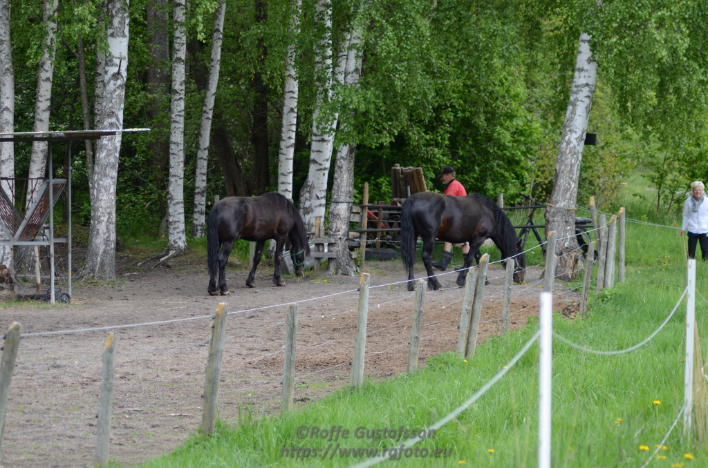 Granskär Våtmark