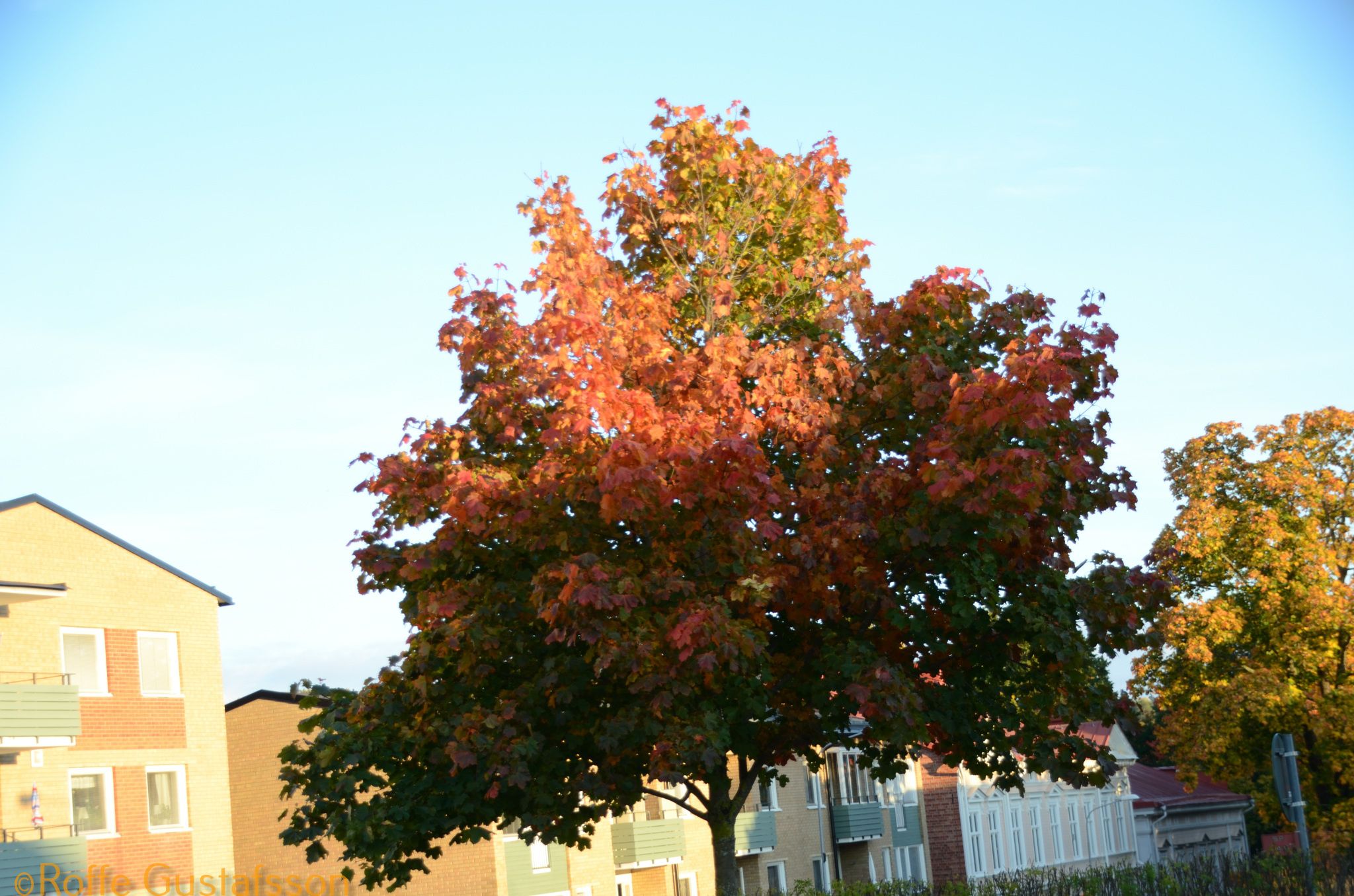 Höst Promenad 20-09-30