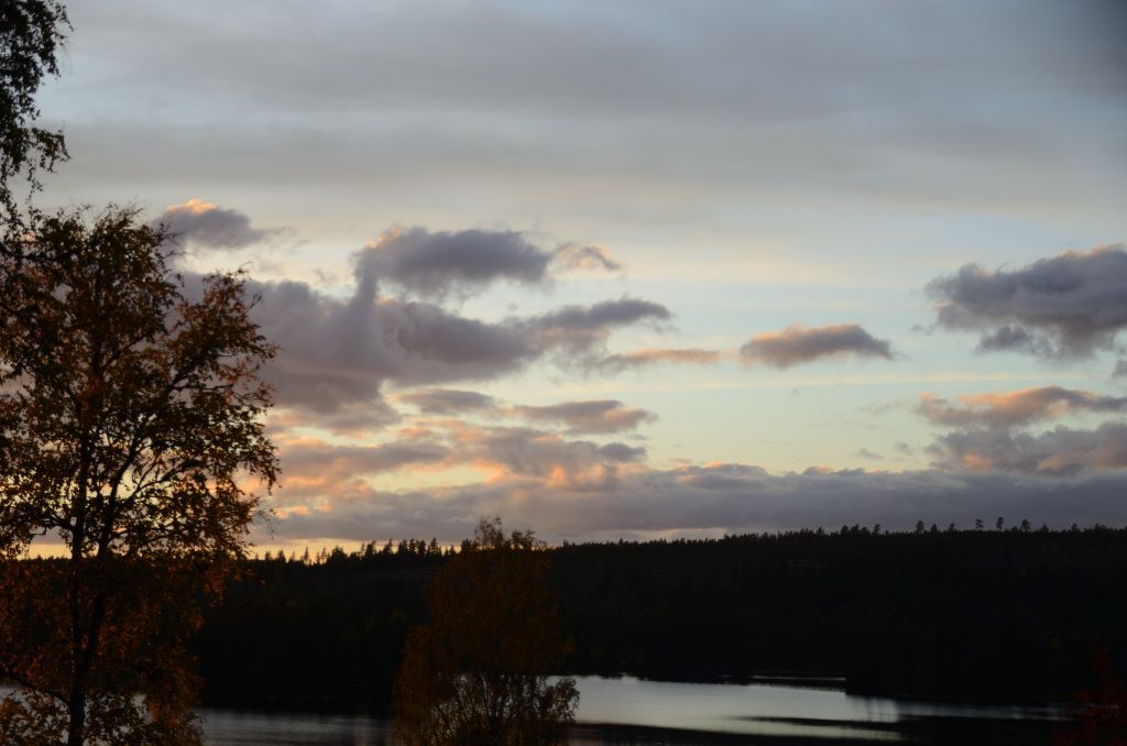 Copyright © Roffe Gustafsson · 2024