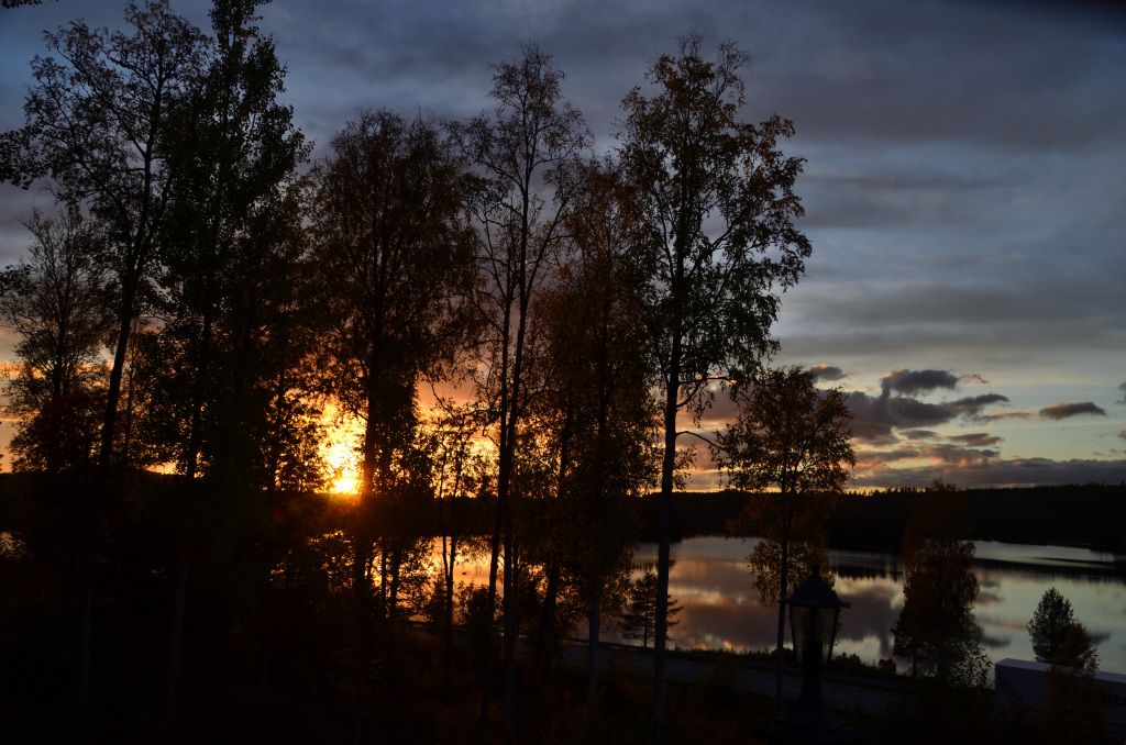 Copyright © Roffe Gustafsson · 2024