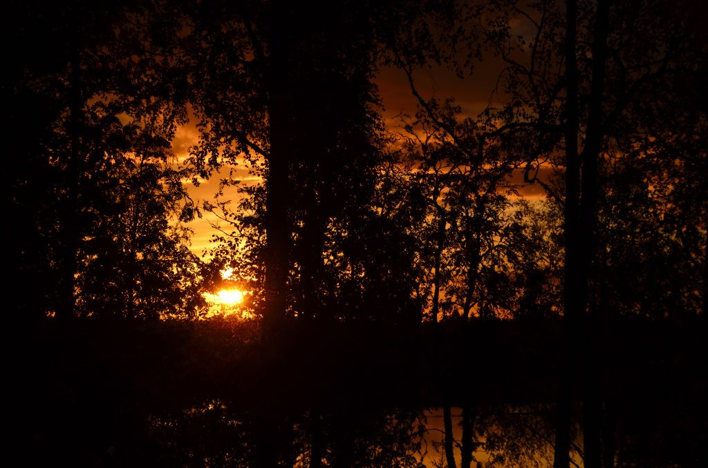 Copyright © Roffe Gustafsson · 2024