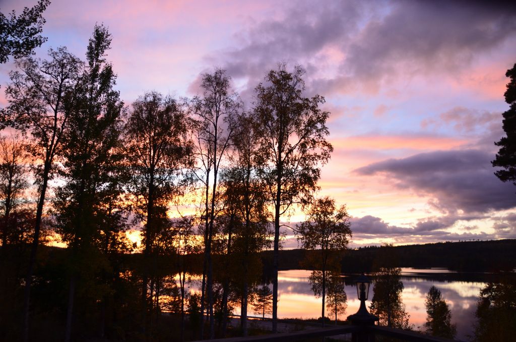 Copyright © Roffe Gustafsson · 2024