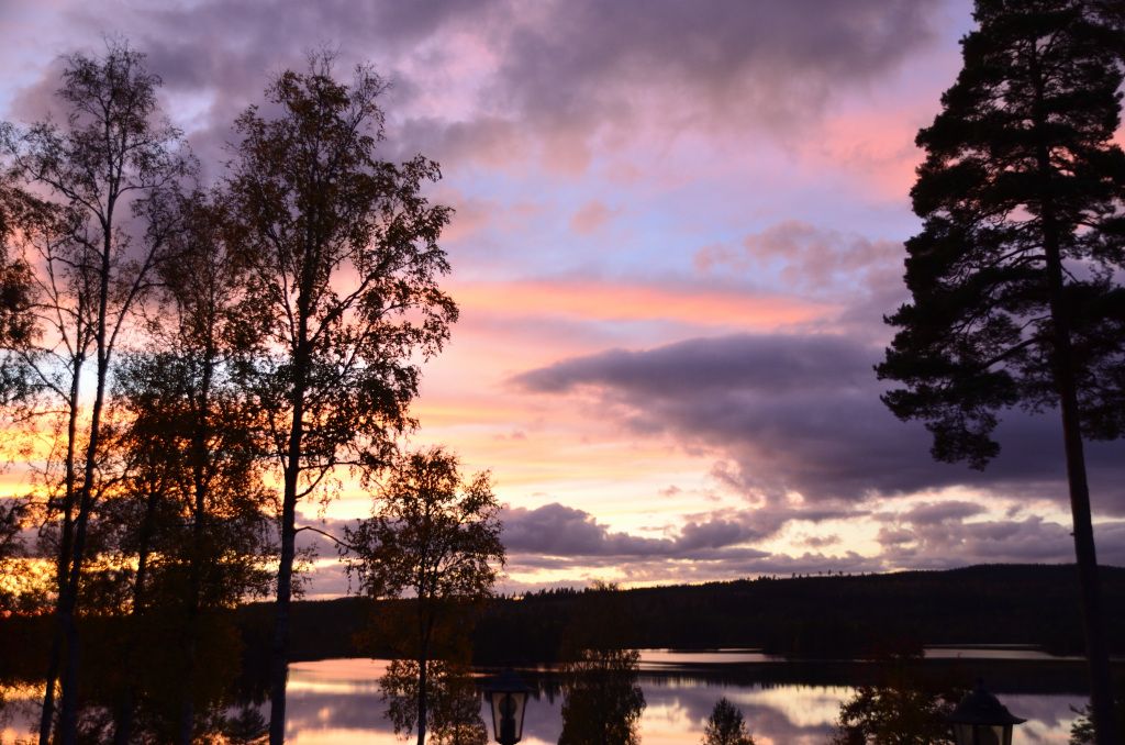 Copyright © Roffe Gustafsson · 2024
